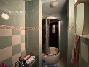 Prodej rodinného domu, Krupka, Alešova, 226 m2