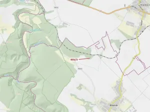 Dražba lesa, Březník, 234 m2