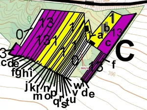 Dražba lesa, Březník, 234 m2
