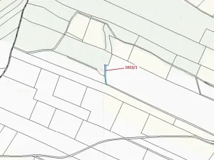 Dražba pole, Olešnice, 318 m2