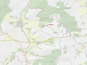 Dražba lesa, Milavče, 222 m2