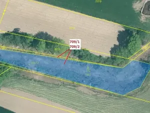 Dražba lesa, Osek, 1823 m2