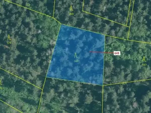 Dražba lesa, Kuřimany, 1722 m2