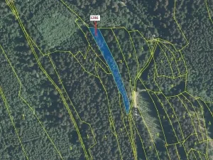 Dražba lesa, Lačnov, 2442 m2