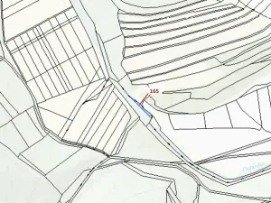 Dražba pole, Vranová Lhota, 198 m2