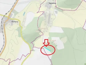 Prodej lesa, Nezdice, 4671 m2