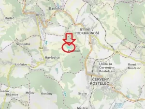 Prodej lesa, Havlovice, 13402 m2