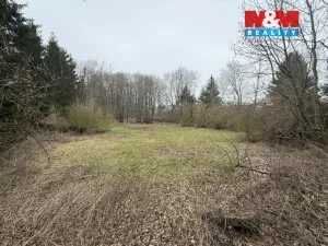 Prodej rybníku, Rychnov nad Kněžnou - Lipovka, 5965 m2