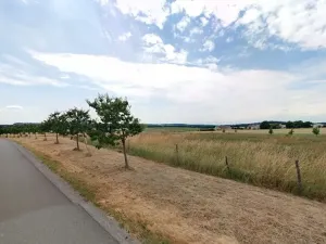 Prodej pozemku, Maršov, 31902 m2