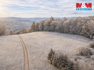 Prodej pozemku pro bydlení, Rožmberk nad Vltavou, 9451 m2