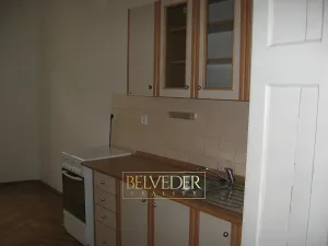 Pronájem bytu 1+1, Teplice, U Hadích lázní, 44 m2