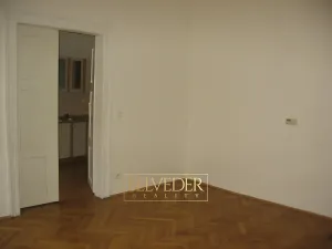 Pronájem bytu 1+1, Teplice, U Hadích lázní, 44 m2