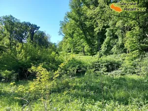 Prodej lesa, Diváky, 6415 m2