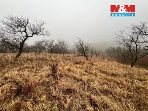 Prodej zahrady, Židlochovice, 2207 m2