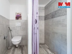 Prodej chalupy, Mirotice - Radobytce, 166 m2