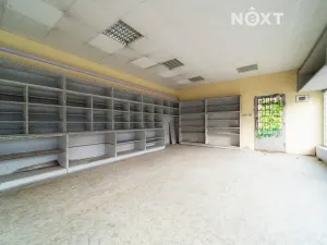 Prodej obchodního prostoru, Orlová, Petra Cingra, 300 m2