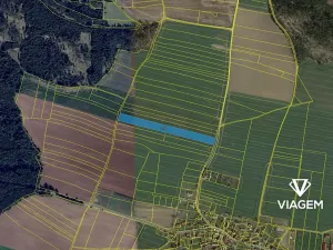 Prodej podílu pole, Trhový Štěpánov, 1962 m2