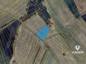 Prodej pole, Krakovany, 6113 m2