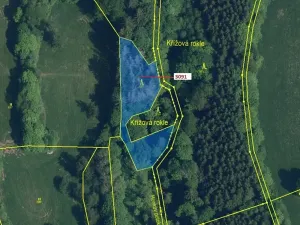 Dražba lesa, Benešov u Semil, 1964 m2