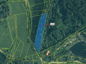 Dražba lesa, Rabí, 3054 m2