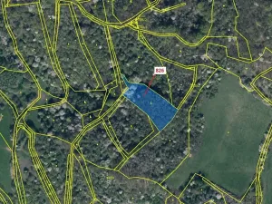 Dražba lesa, Zubrnice, 4610 m2