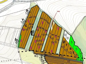 Dražba lesa, Hradčany-Kobeřice, 5428 m2