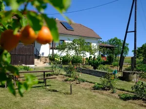 Prodej chalupy, Stříbrnice, 90 m2