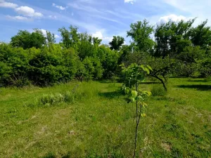 Prodej zahrady, Uherský Brod, 2032 m2