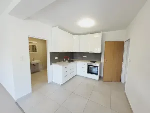 Pronájem bytu 1+kk, Staré Město, U Sklépka, 40 m2