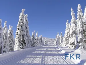 Prodej bytu 2+kk, Vrchlabí, Pražská, 68 m2