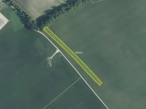 Prodej pole, Moravská Nová Ves, 12980 m2