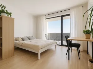 Prodej bytu 1+kk, Brno, Řípská, 45 m2