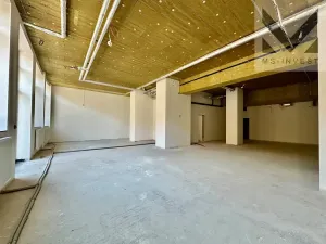 Pronájem obchodního prostoru, Brno, Trnitá, 190 m2