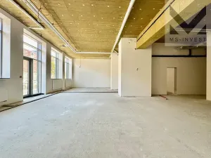 Pronájem obchodního prostoru, Brno, Trnitá, 190 m2
