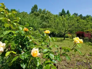 Prodej rodinného domu, Ostrava, Pod Nemocnicí, 167 m2