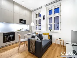 Pronájem bytu 2+kk, Hradec Králové, Eliščino nábřeží, 30 m2