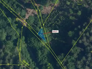 Dražba lesa, Jílové u Držkova, 88 m2