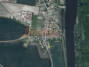 Dražba pole, Židovice, 123 m2