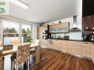 Prodej rodinného domu, Velký Týnec, Krátká, 300 m2