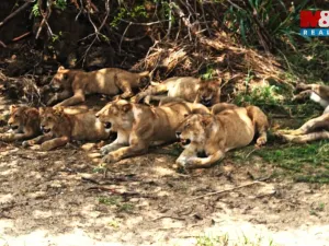 Prodej rodinného domu, Ostrov, Klínovecká, 115 m2