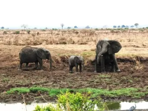 Prodej rodinného domu, Ostrov, Klínovecká, 115 m2