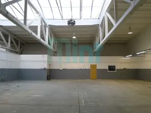 Pronájem skladu, Ostrava, Teslova, 348 m2