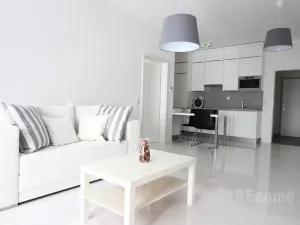 Pronájem bytu 2+kk, Praha - Karlín, U Mlýnského kanálu, 55 m2