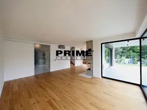 Pronájem rodinného domu, Praha - Řepy, U Lesoparku, 408 m2
