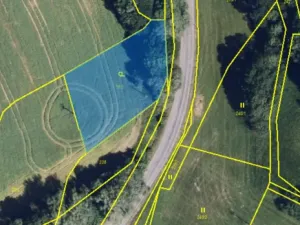 Prodej zahrady, Konice - Ladín, 1314 m2