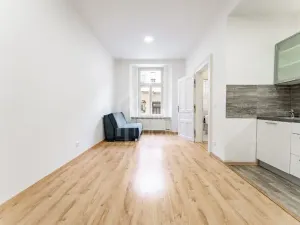 Prodej bytu 1+1, Praha - Nusle, Oldřichova, 48 m2