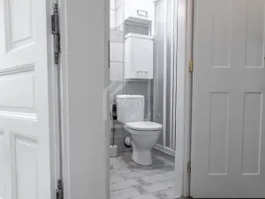 Prodej bytu 1+1, Praha - Nusle, Oldřichova, 48 m2