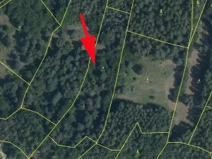 Prodej louky, Šumperk, 7200 m2