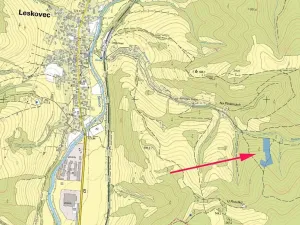 Prodej lesa, Leskovec, 11334 m2