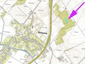 Prodej lesa, Držovice, 4332 m2